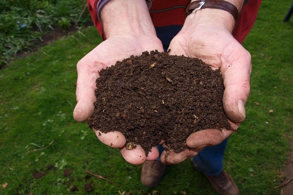 Kitchen Compost Making Process Guide