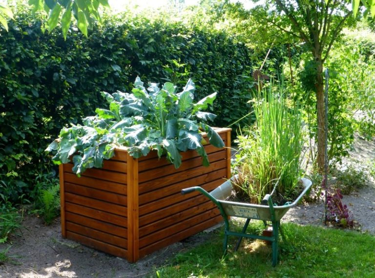 Raised Bed Gardening Ideas, Techniques, Tips