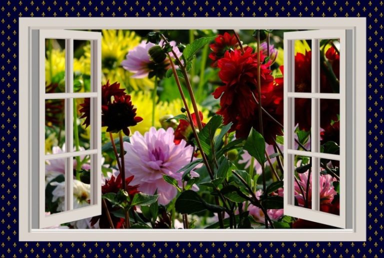 Window Gardening Ideas, Techniques and Tips