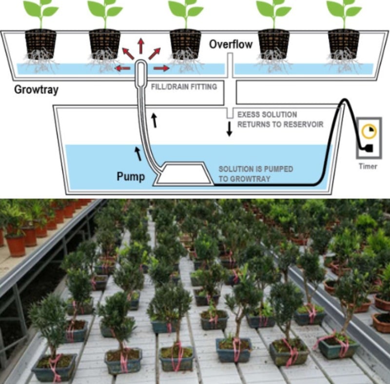 ebb and flow hydroponics kit