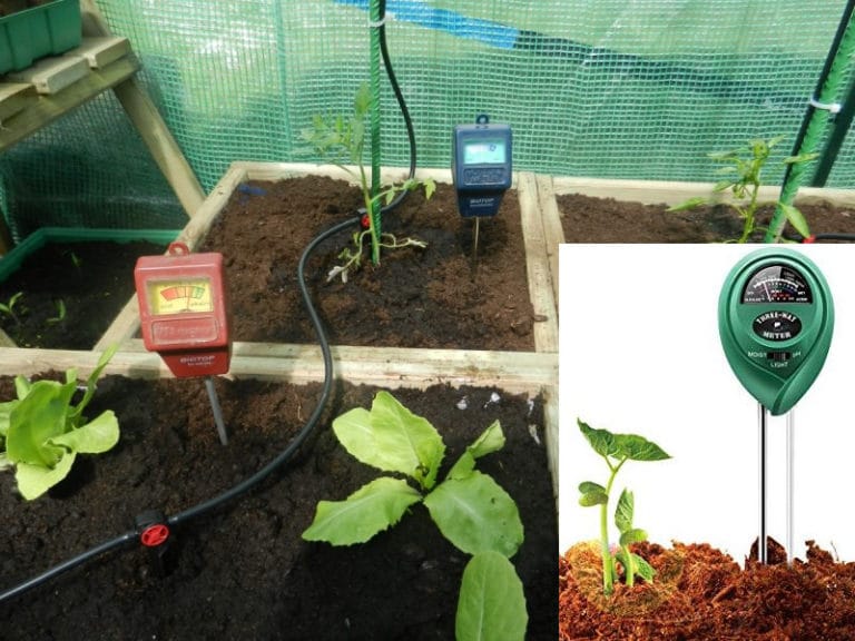 Garden Soil pH Testing Methods, Techniques, Ideas