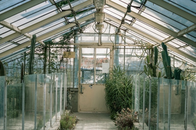 Glass Greenhouse.