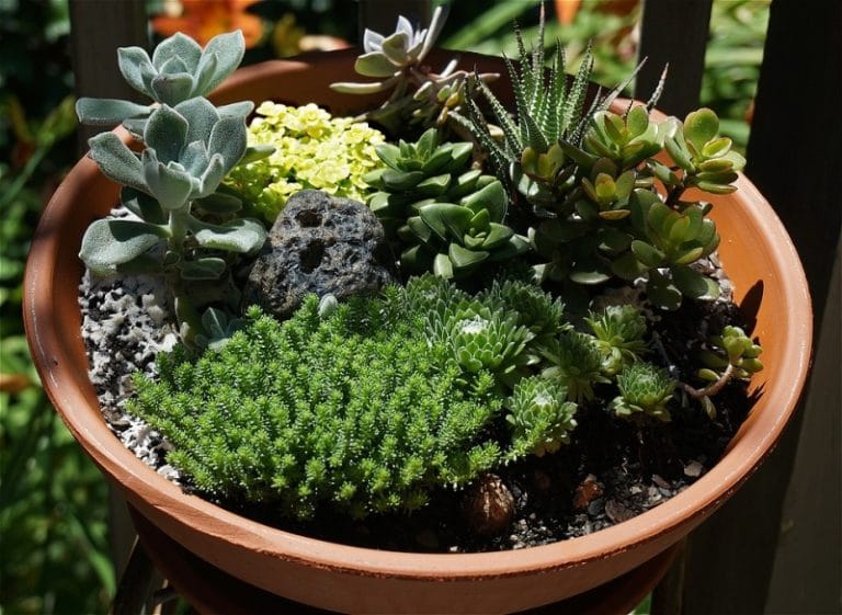 Miniature Gardening Techniques, Ideas, and Tips