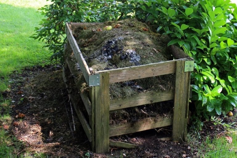 Organic Composting for Urban Gardening