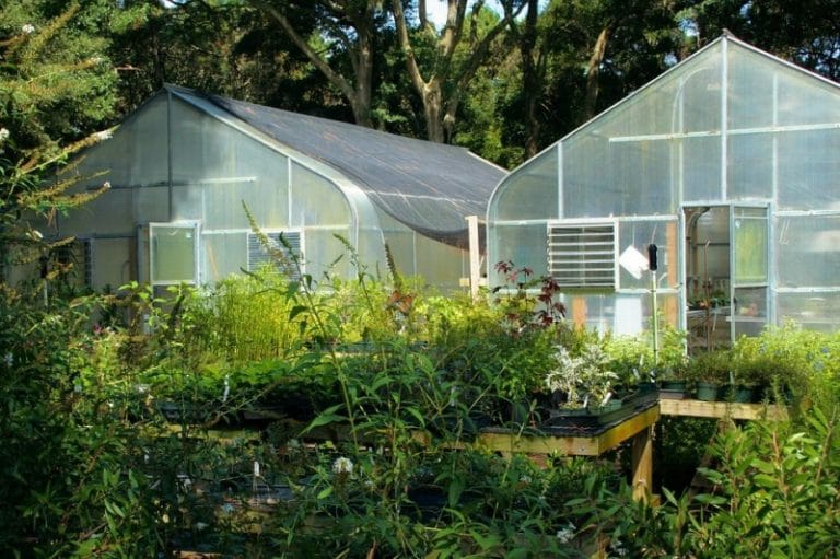 Types of Greenhouse in India, Greenhouse Material