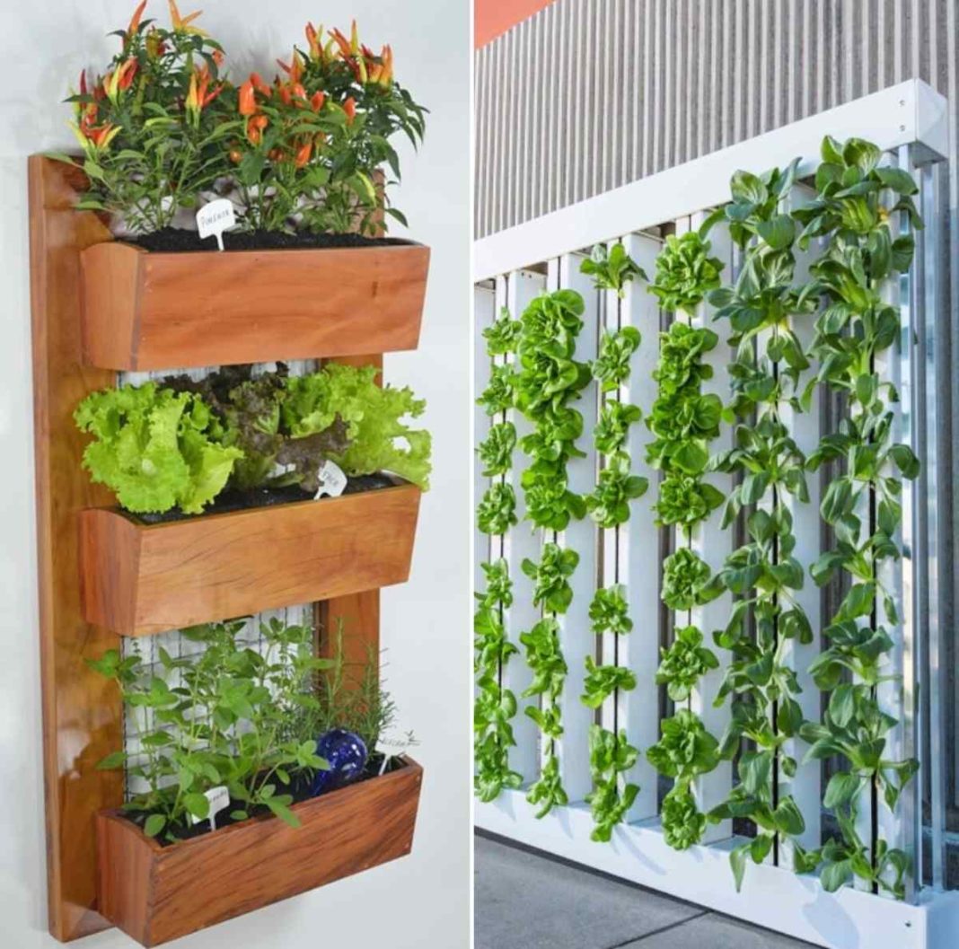 What are the principles of vertical gardening?