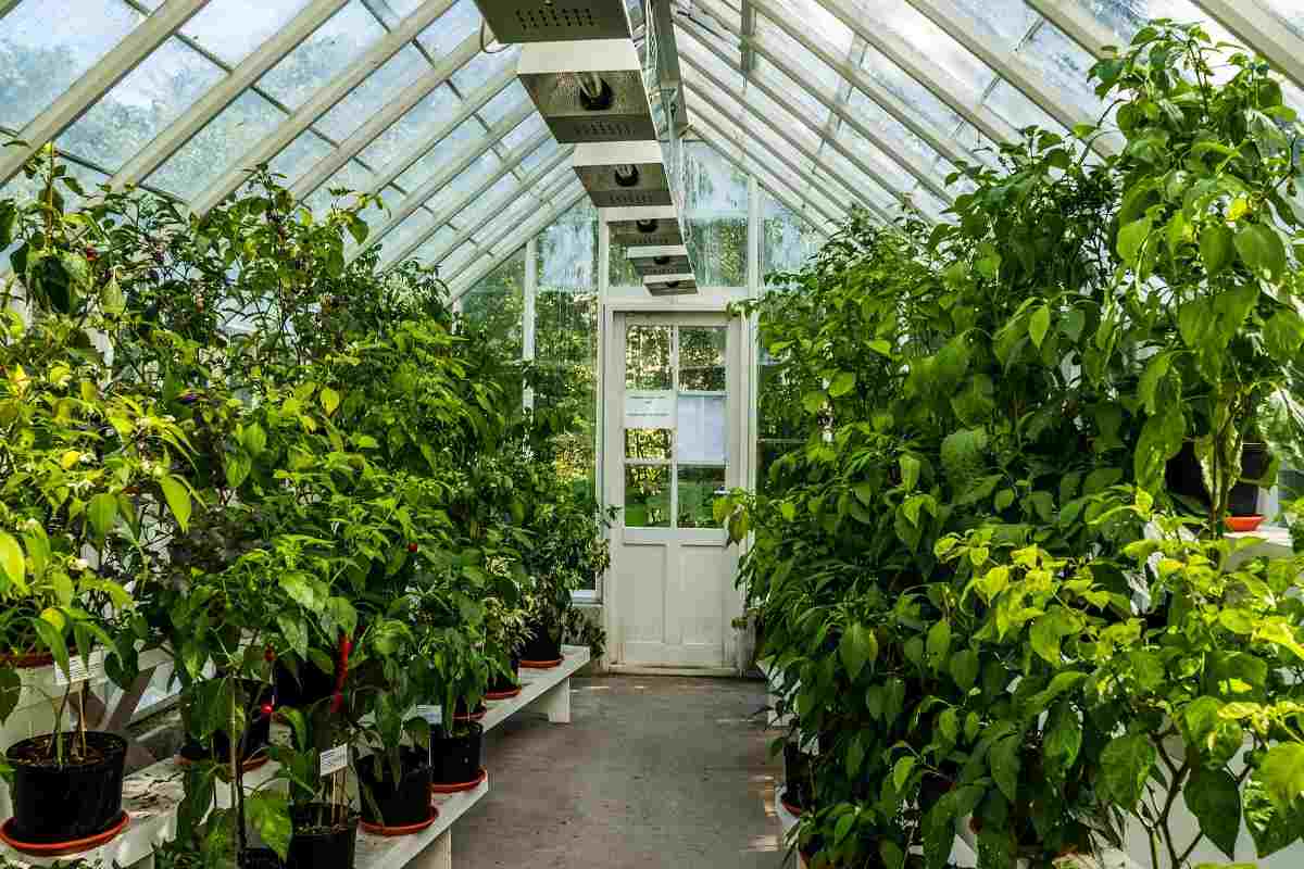 A Guide for Greenhouse Building.