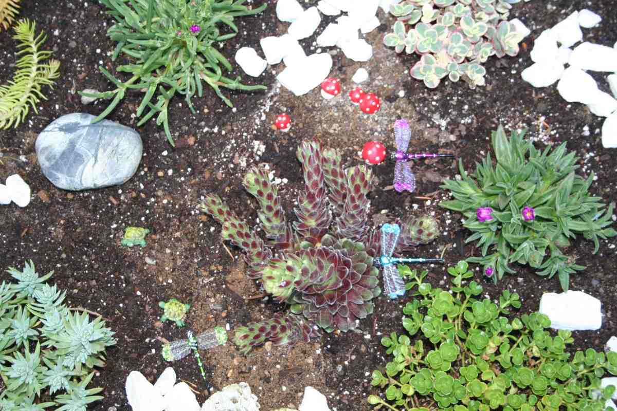 Steps to Create Miniature Garden.