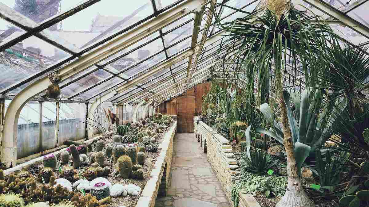 Greenhouse Ventilation.