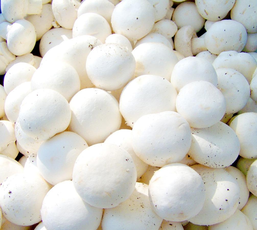 Button Mushrooms.