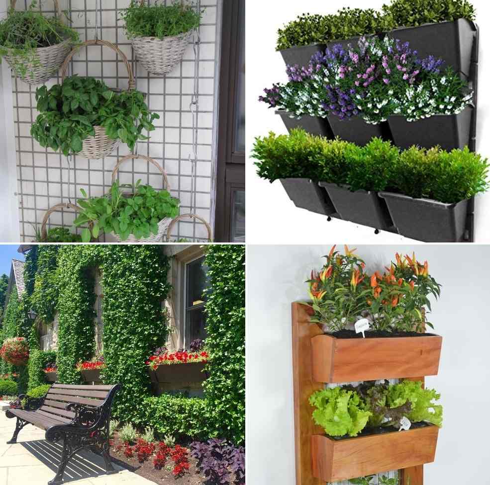 Vertical Garden Ideas.