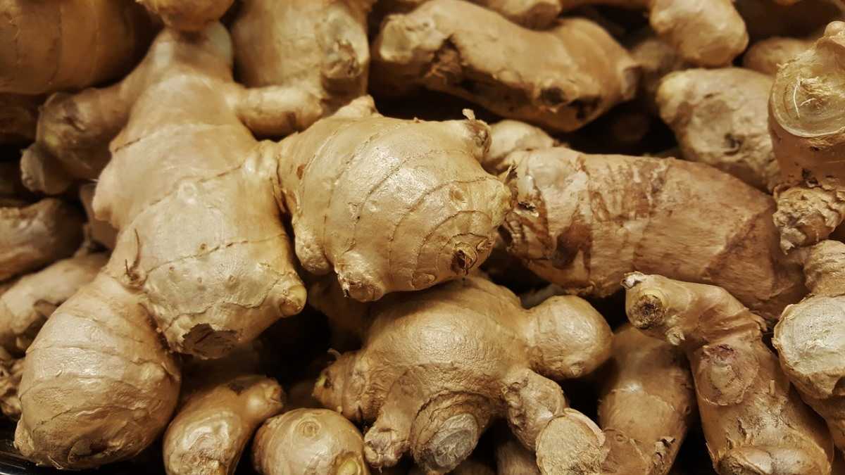 Growing Ginger Without Soil