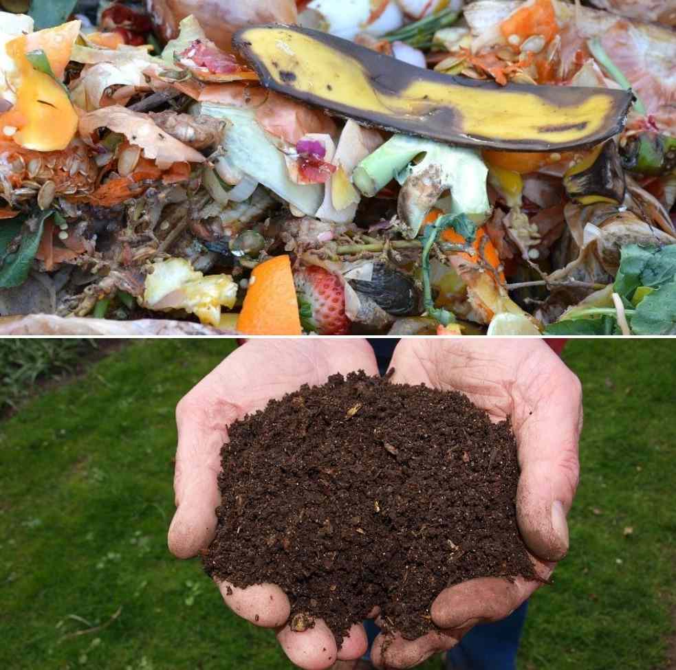 Making compost at home from kitchen waste.