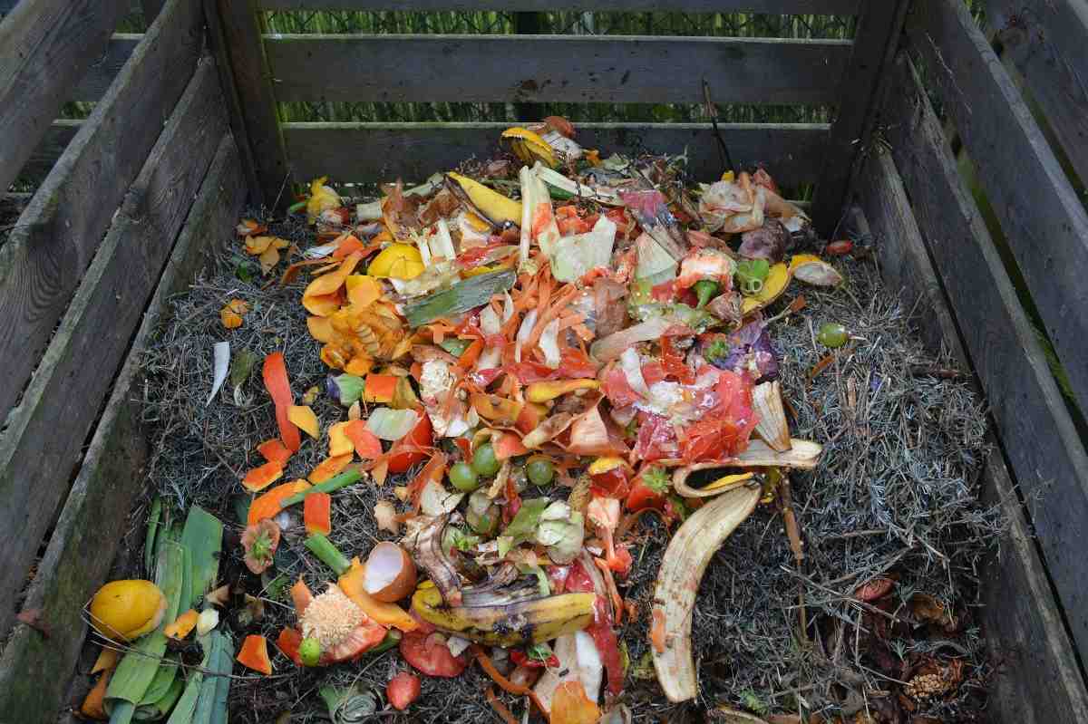 Tips to make compost at home.
