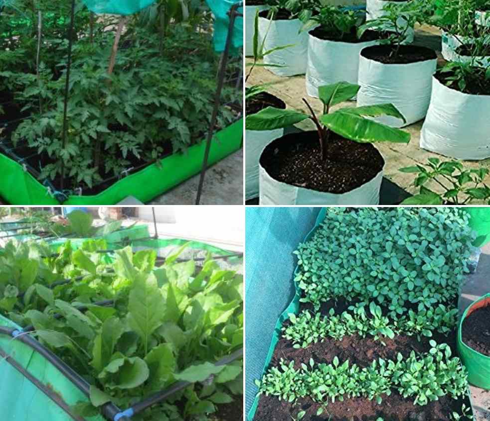 Terrace Garden Ideas Tips For Design And Setup In India Gardening Tips