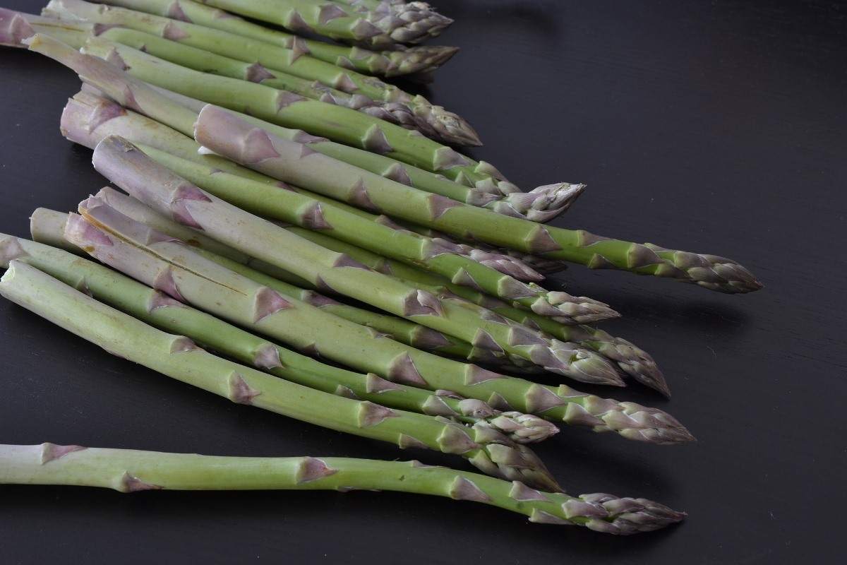 When to harvest Asparagus.