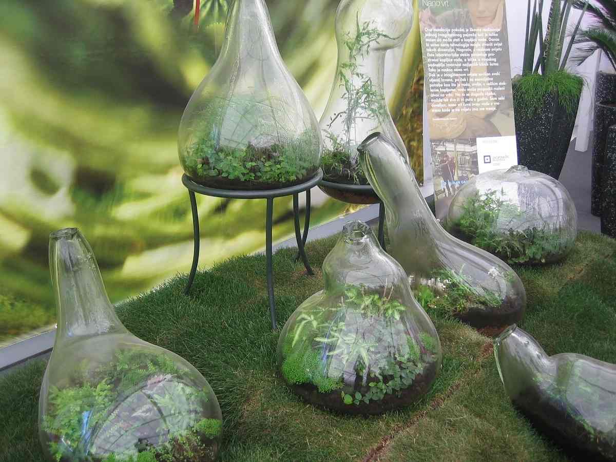 Growing Herbs in Glass Bottles.