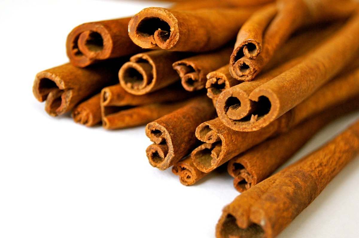 When and How to Harvest Cinnamon.