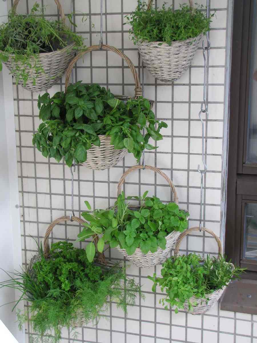 Balcony Hanging Baskets