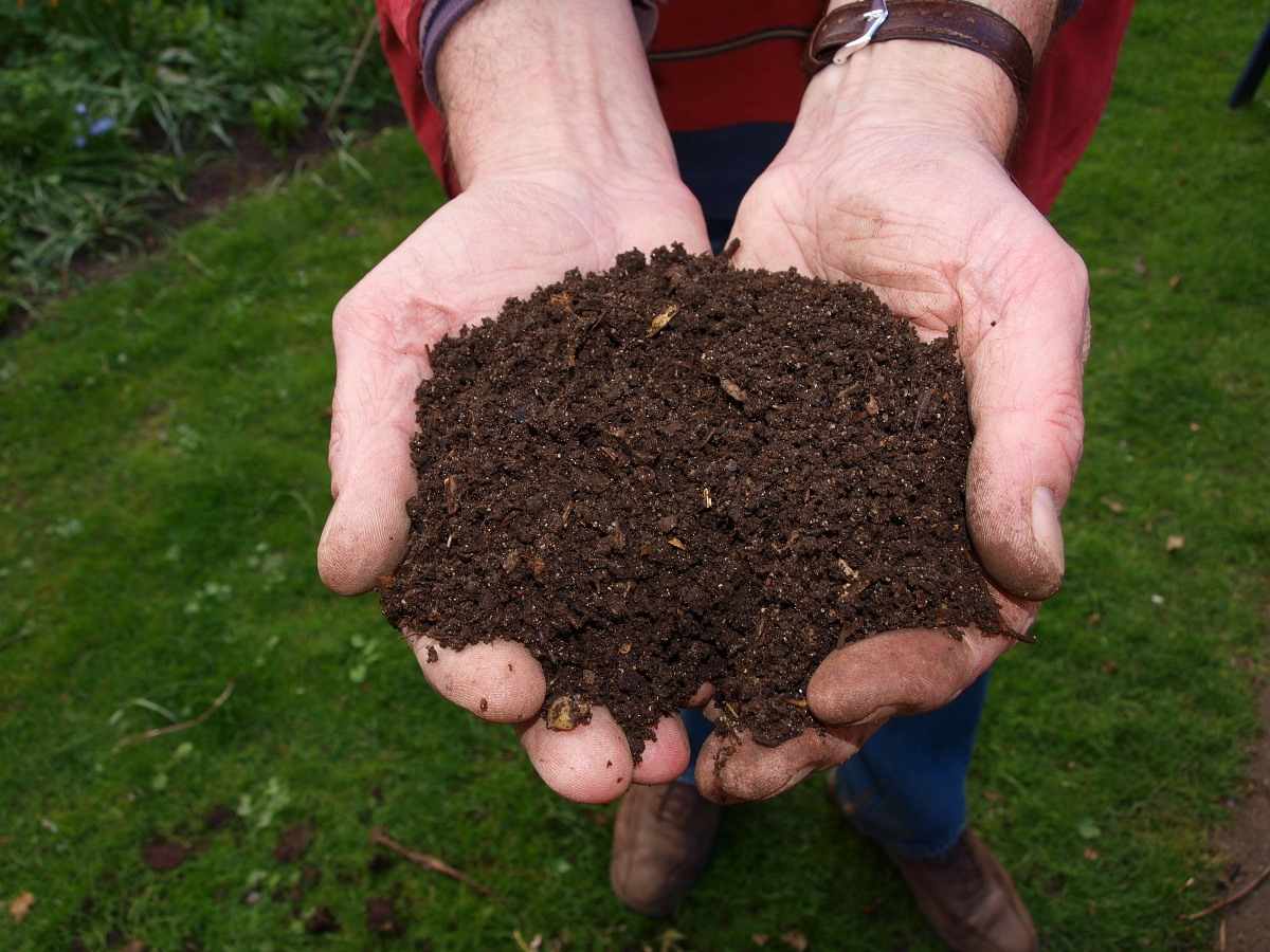 Advantages of Organic Coco Peat Compost