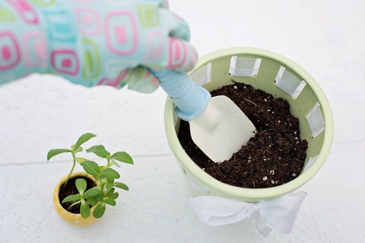 Suitable Soil for Growing Flowers in Pots