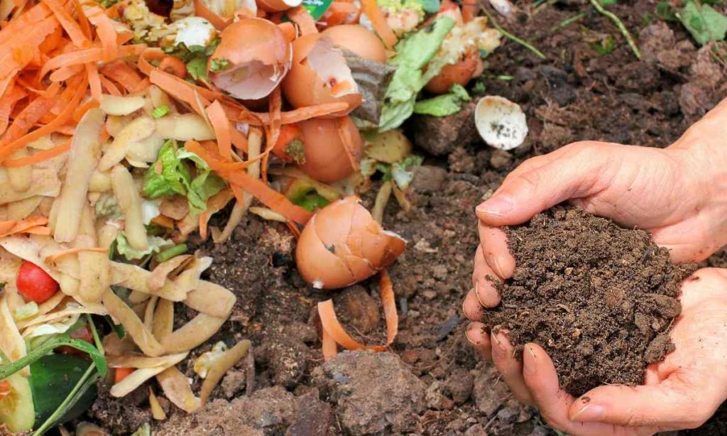 Guide to Composting Process