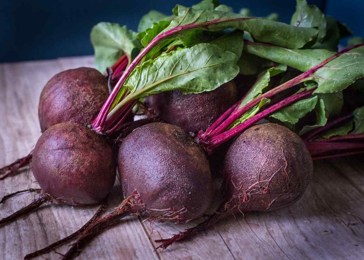 Questions about Growing Beets Organically