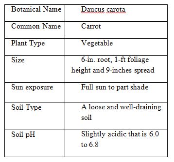 Overview Table of Carrot