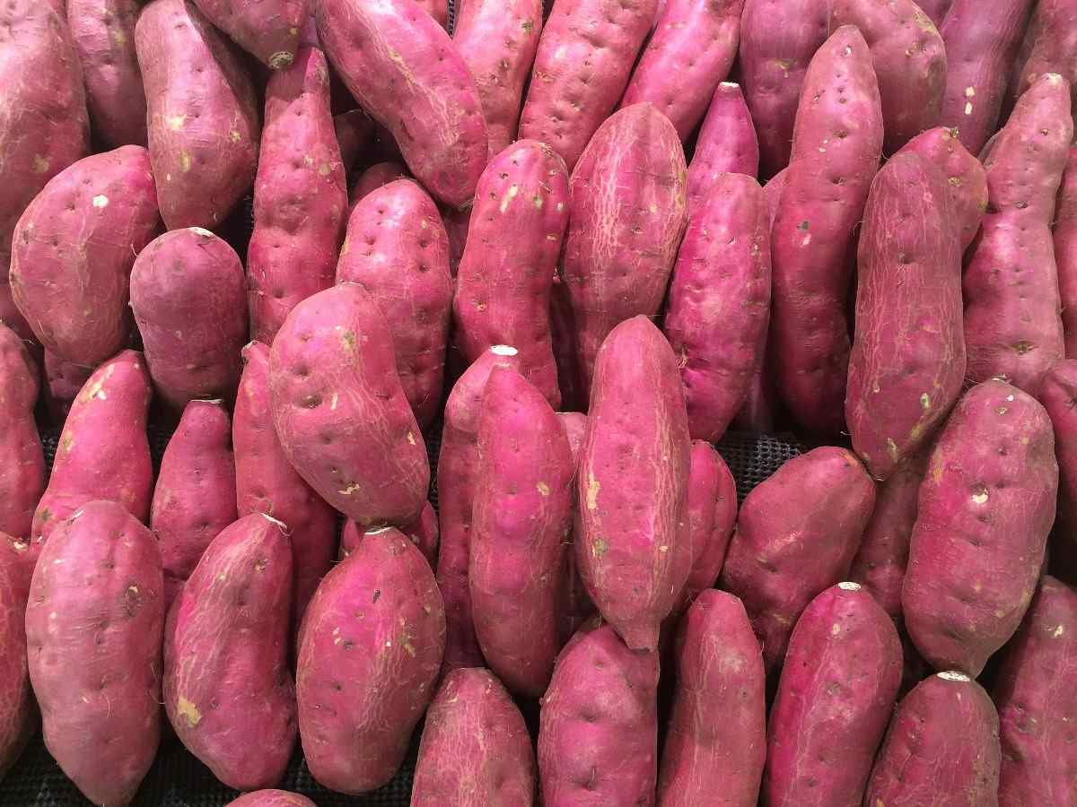 Red Sweet Potatoes