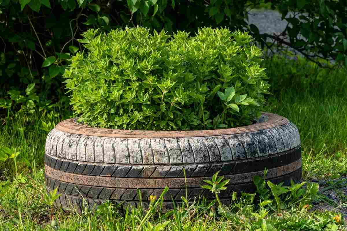 Old Tire Gardening