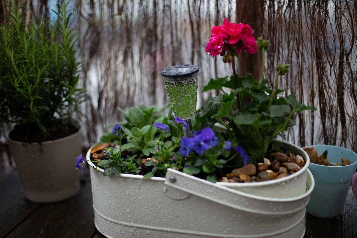 Tips for apartment gardening