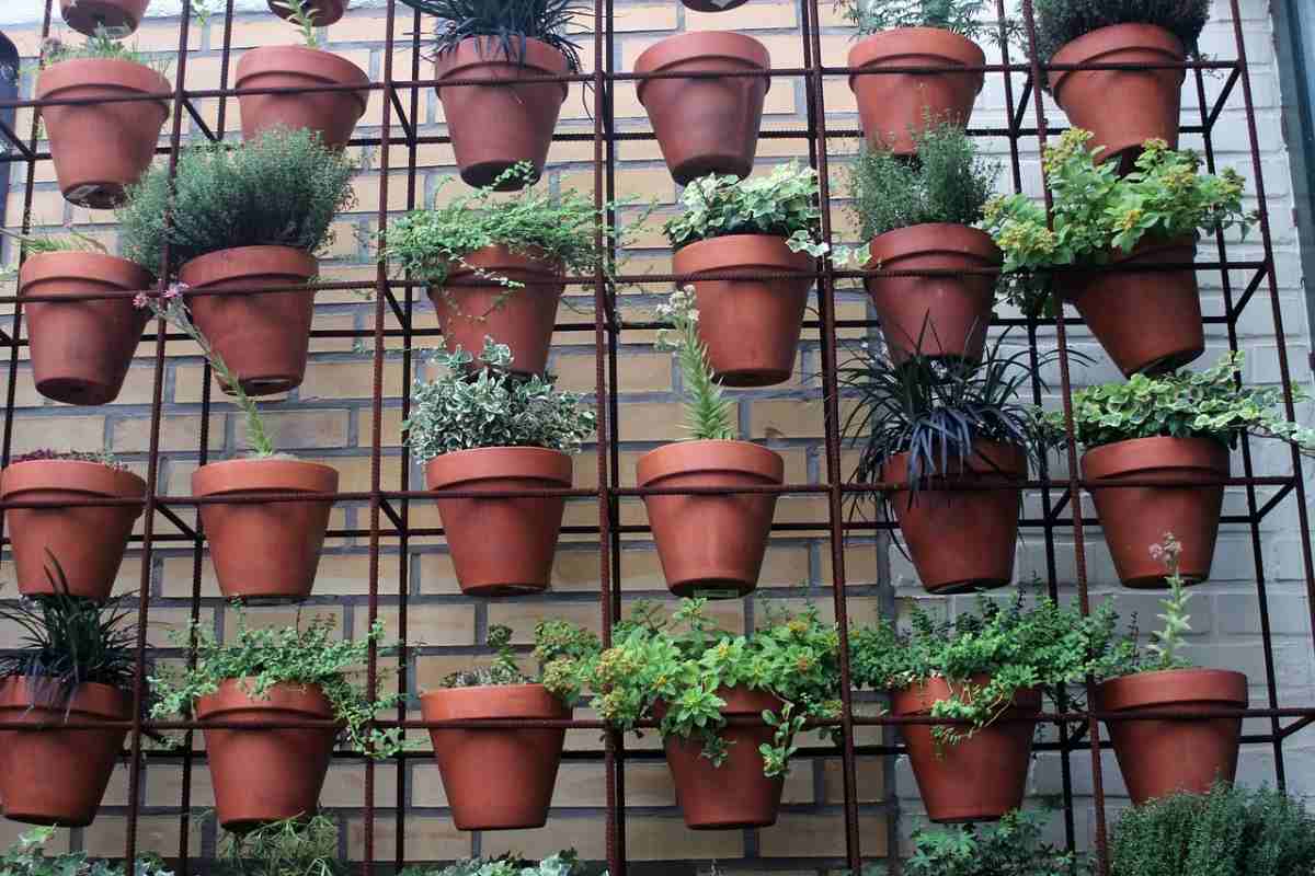 How to start Apartment balcony gardening