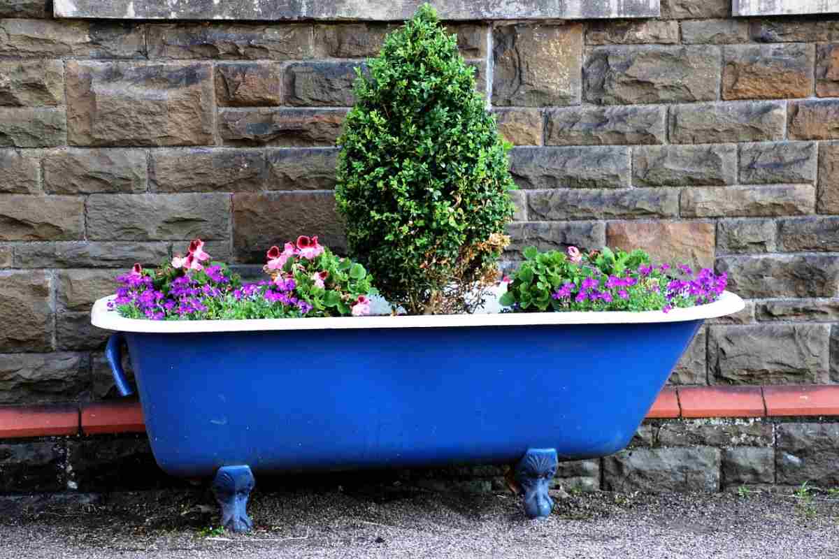 Bathtub container gardening