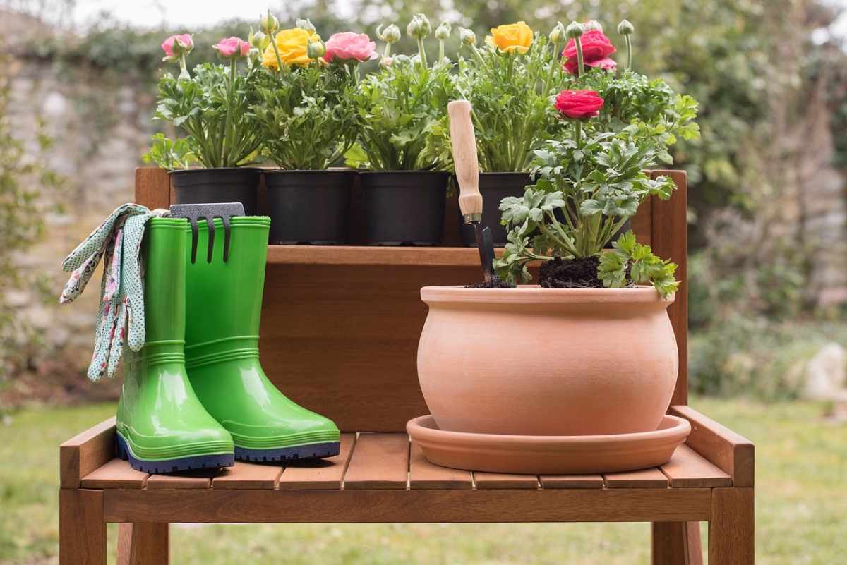 Beginners Guide To Gardening