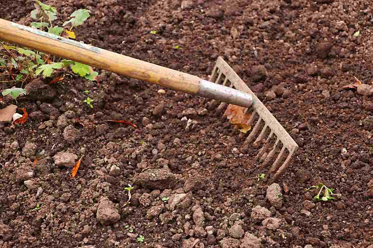 Soil Preparation for Outdoor Gardening 