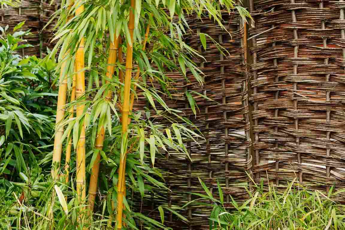 Bamboo Planting Ideas