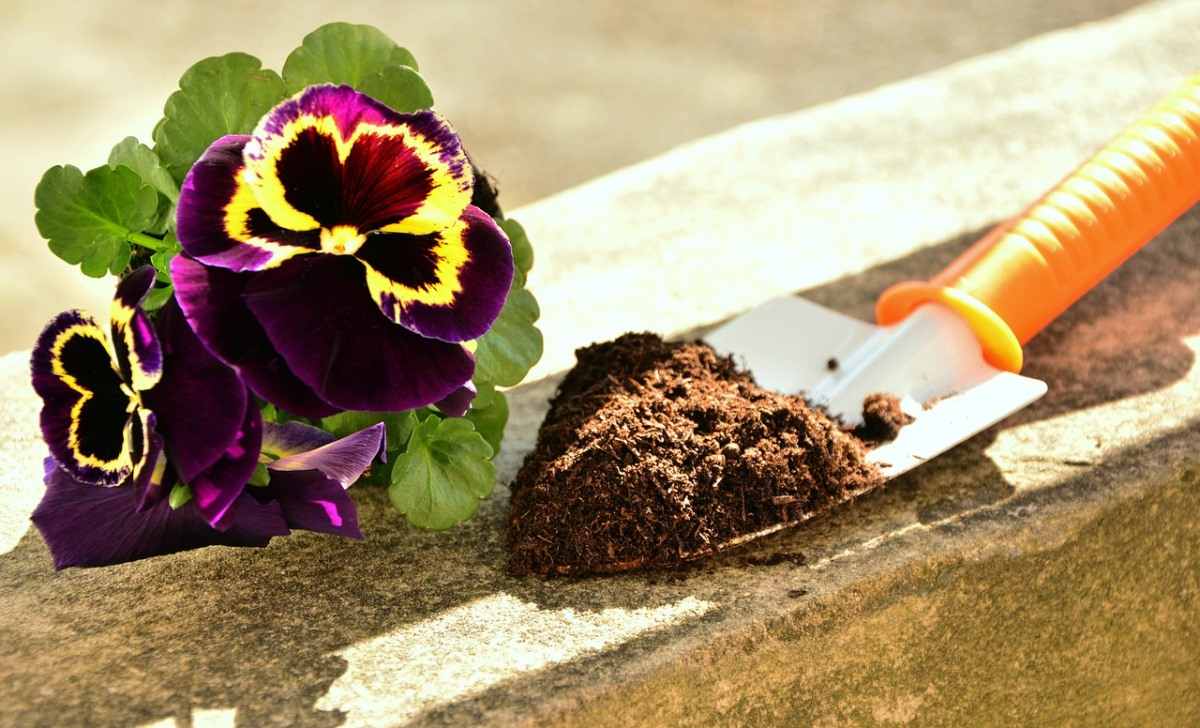 Soil Preparation for Potted Flowers