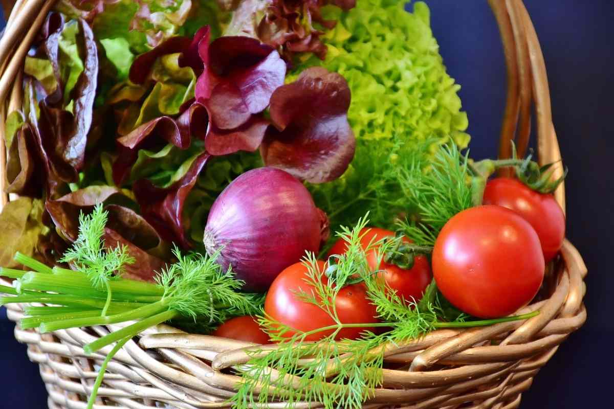 Top 20 Vegetables to Grow Indoors