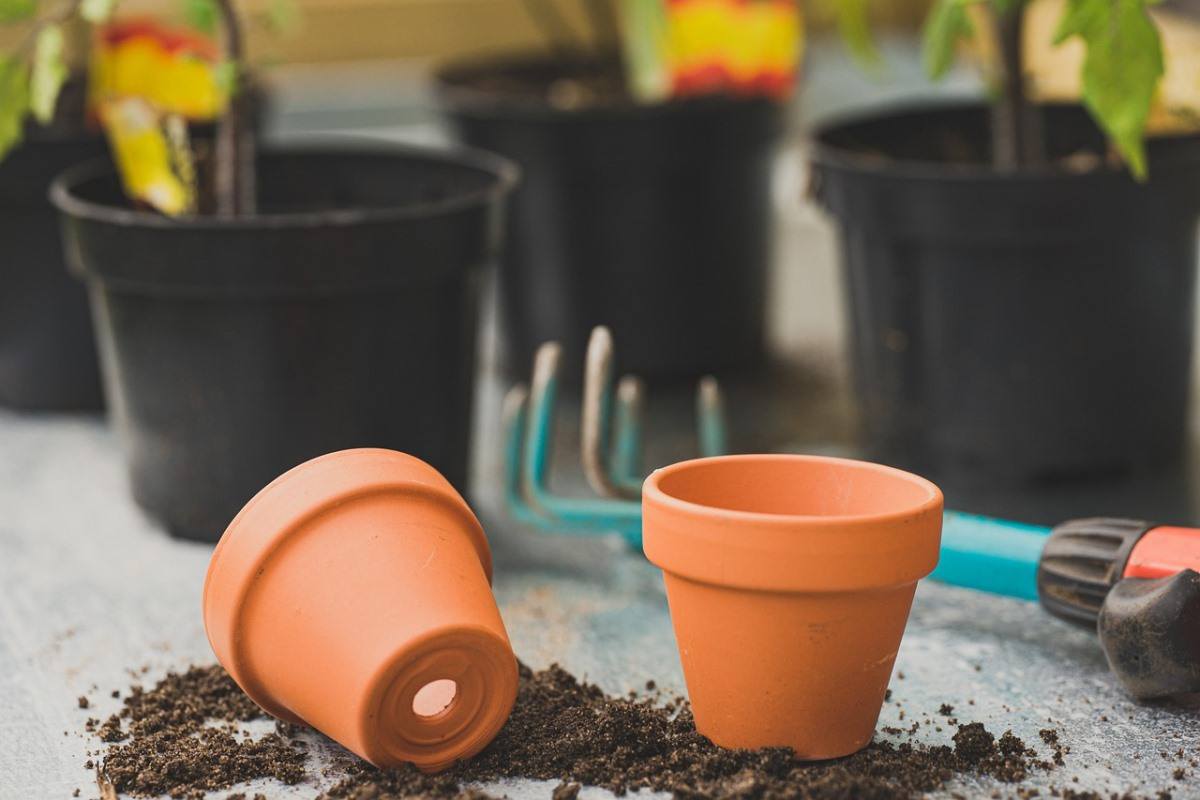 How To Prepare Soil For Planting In Pots