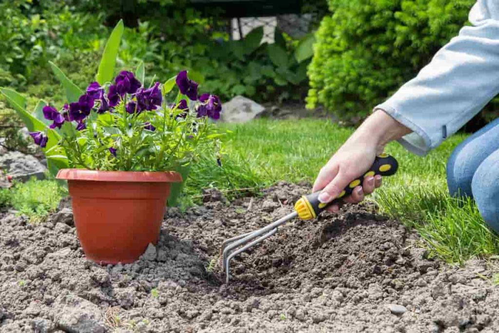 How to plant a backyard garden