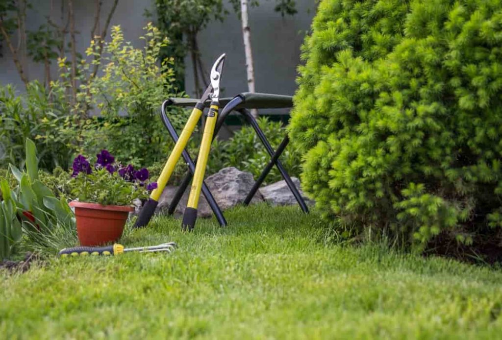 DIY Backyard Gardening Ideas