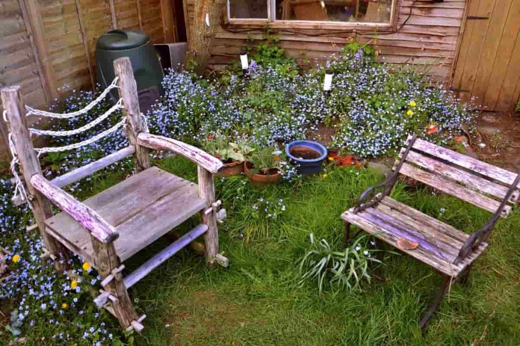 Home garden with chair