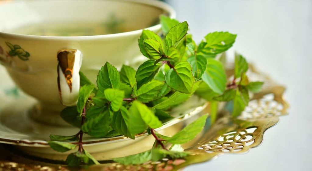 Top 15 Fast Growing Medicinal Herbs