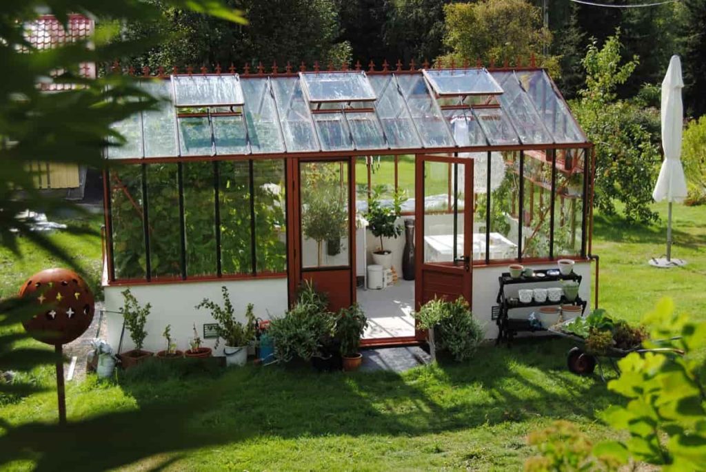 Greenhouse gardening in February 
