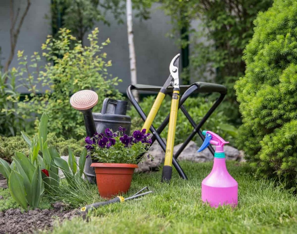 Backyard Garden Ideas on a Budget