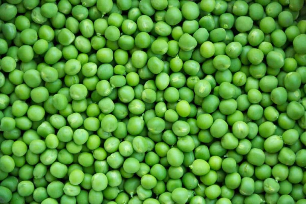 Green Peas 