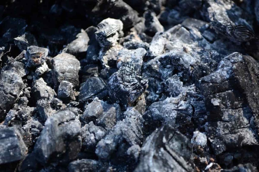 How to Use Wood Ash in Your Home Garden for Maximum Benefit 