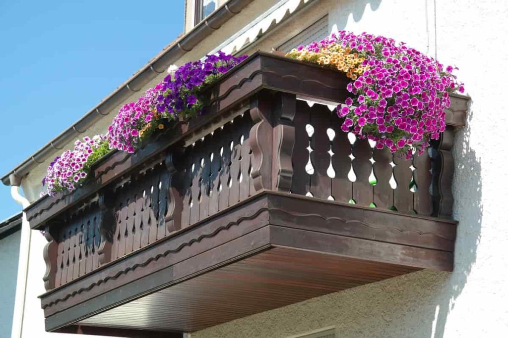 Apartment Balcony Gardening in Small Area