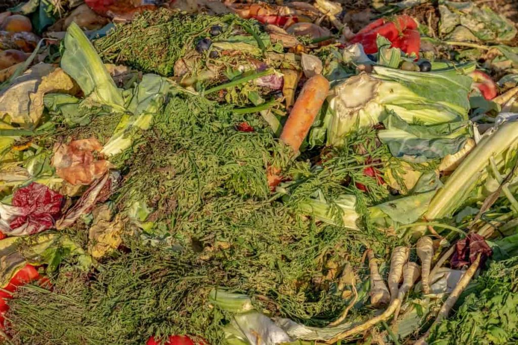 Vegetable market trash