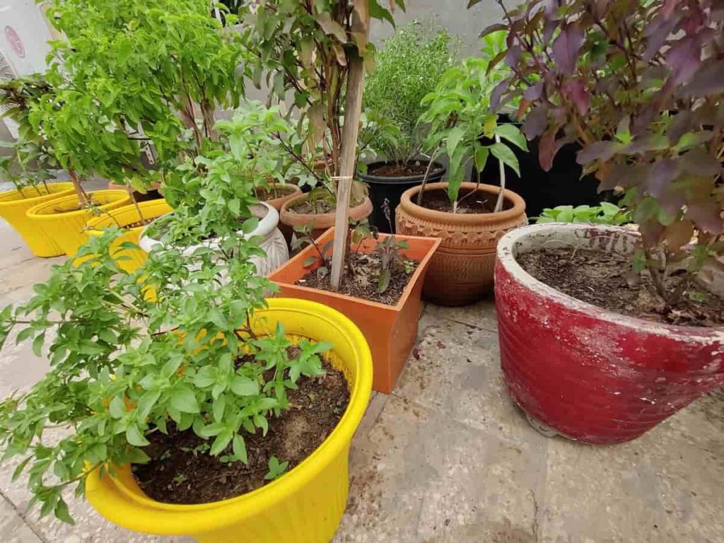 Home Garden Pots